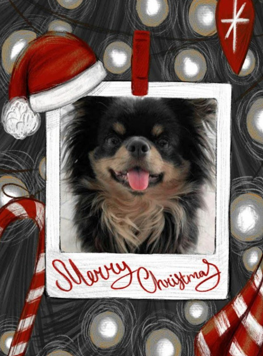 kerstkaart.png.92c821406cd677d71ae79cd9a1aacde2.png